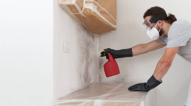 Professional Mold Removal technician working in Franktown, VA