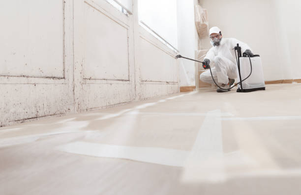 24/7 Emergency Mold Removal experts in Franktown, VA